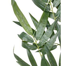 Rama Bambu 50cm