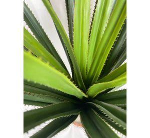 Agave Yuca 80cm Artificial | Estilo Natural para Interiores y Vitrinas