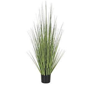 PLANTA DECORATIVA COREL PASTO CEBOLLA VERDE 68CM