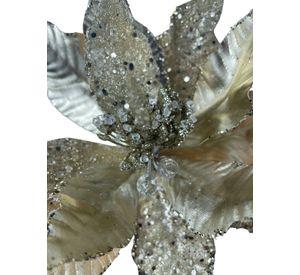 Poinsettia Champagne 30cm