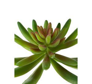 Cactus Decorativo Corel Suculenta Verde 13cm