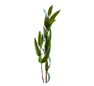 Follaje Silvestre Flor Artificial by Le Bouquet 100 cm
