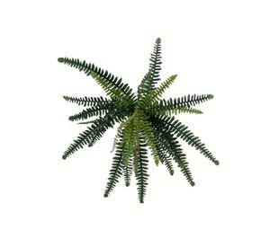 Helecho Boston 50cm Artificial | Estilo Natural para Interiores y Vitrinas