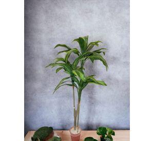 Arbol Dracena 120cm