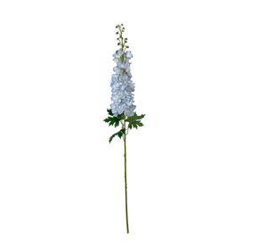 Delphinium Celeste 94cm