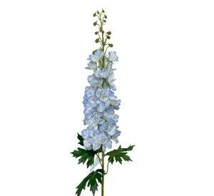 Delphinium Celeste 94cm