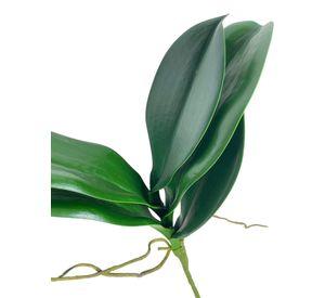 Hojas de Orquídea 28cm Artificial | Estilo Natural para Interiores y Vitrinas