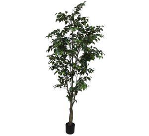 PLANTA DECORATIVA COREL ARBOL DE FICUS 210CM