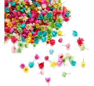 Flores secas para manualidades o decoración