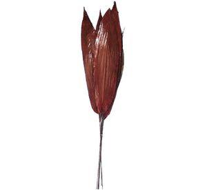 Arreglo Decorativo Ramo Aspidistra Rojo Seco 6 Piezas