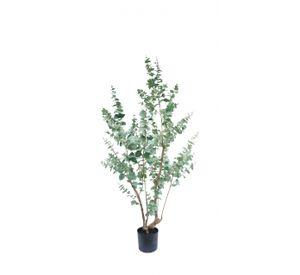 Árbol Eucalipto 180cm