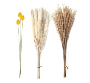 Ramo flores secas pampas y bolas doradas