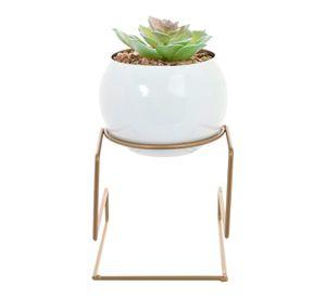 Suculenta Decorativa Bola Pedestal