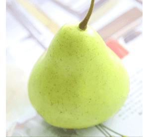 Pera Artificial 10cm