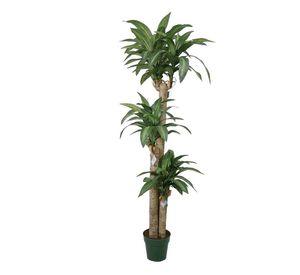Árbol Artificial de Dracena 166cm Artificial | Estilo Natural para Interiores y Vitrinas