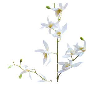 Orquídea Africana Flor Artificial by Le Bouquet 84 cm