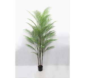 Planta Decorativa Palmera Areca Hoja Fina 150Cm