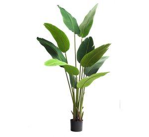 Palmera Sterlitzia 160cm (Flor De Pajaro)