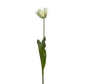 Tulipan Blanco 50cm