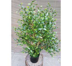 Arbusto Boj 76cm