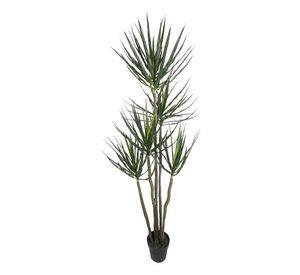Planta Decorativa Yucca 183cm