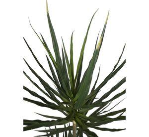 Planta Decorativa Yucca 183cm