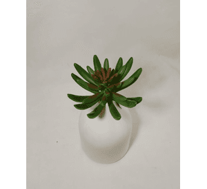 Cactus Decorativo Suculenta Verde 13Cm