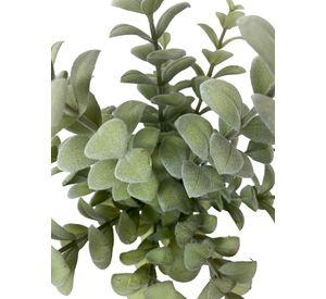 Ramo Decorativa Arbusto Money Gris