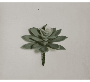 Cactus Echeveria Verde 14cm Artificial | Estilo Natural para Interiores y Vitrinas