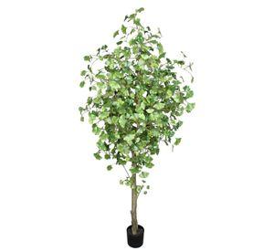 Árbol Ginko 180cm