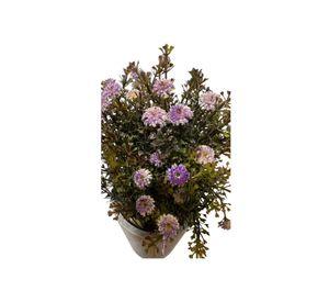Macetero Planta Artificial Flores Maceta Decorativa Centro L