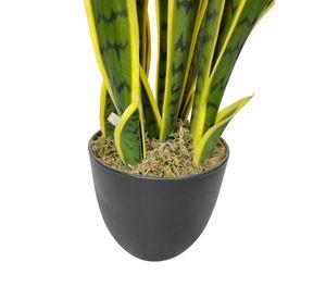 PLANTA DECORATIVA COREL SANSEVIERA VERDE - AMARILLA 60CM