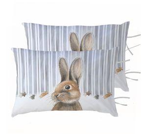 PACK 2 FUNDAS ALMOHADA PEDRO RABBIT 50X70