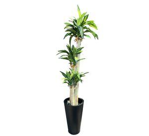 Planta Dracena 166cm