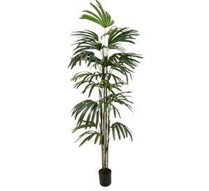 PLANTA DECORATIVA COREL PALMERA RAPHIS 150CM