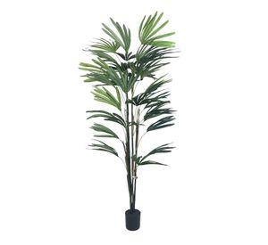 PLANTA DECORATIVA COREL PALMERA RAPHIS 150CM