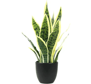 Planta artificial sansevieria lengua de suegra