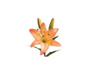 4 Lilium Naranjo Flores Artificiales 69cm