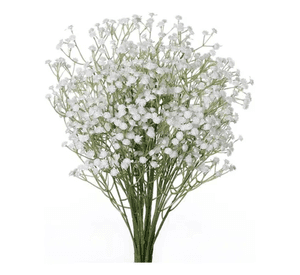 Flores gypsophila ilusiones arreglos