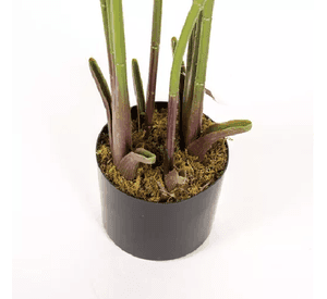 Planta Artificial 115m con Maceta