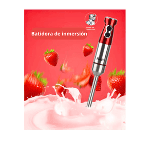 Batidor De Mano Batidora De Inmersión 10000w Raf R.315
