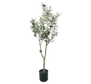 Árbol Olivo 120cm
