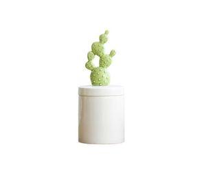 Cofre Cactus Alto
