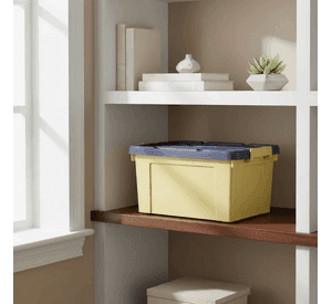 Caja Organizadora Plastica 20 Litros Con Tapa 42x30x25cm