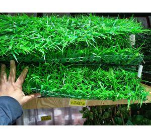 Césped Artificial Pasto Simulación Tapete Decoración Rondon