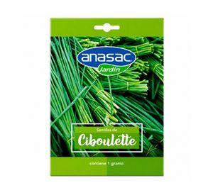 Semilla ciboulette 1 g