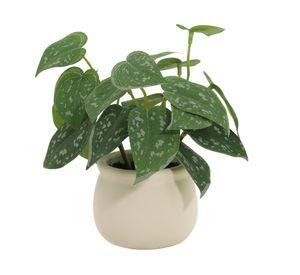 Planta artificial Parra plateada 18 cm