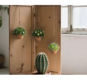 Planta artificial colgante Cesta 23 cm D2