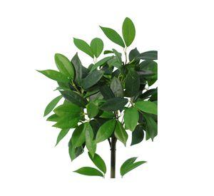 Planta artificial Laurel 58 cm