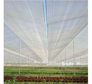 Malla Sombra Lisa 35% de 2,10 × 100 m color Blanco